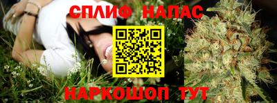 ГАЛЛЮЦИНОГЕННЫЕ ГРИБЫ Гусев
