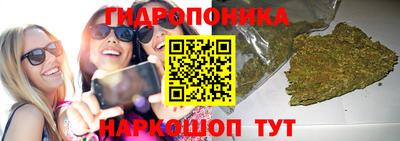 крисы Гусь-Хрустальный