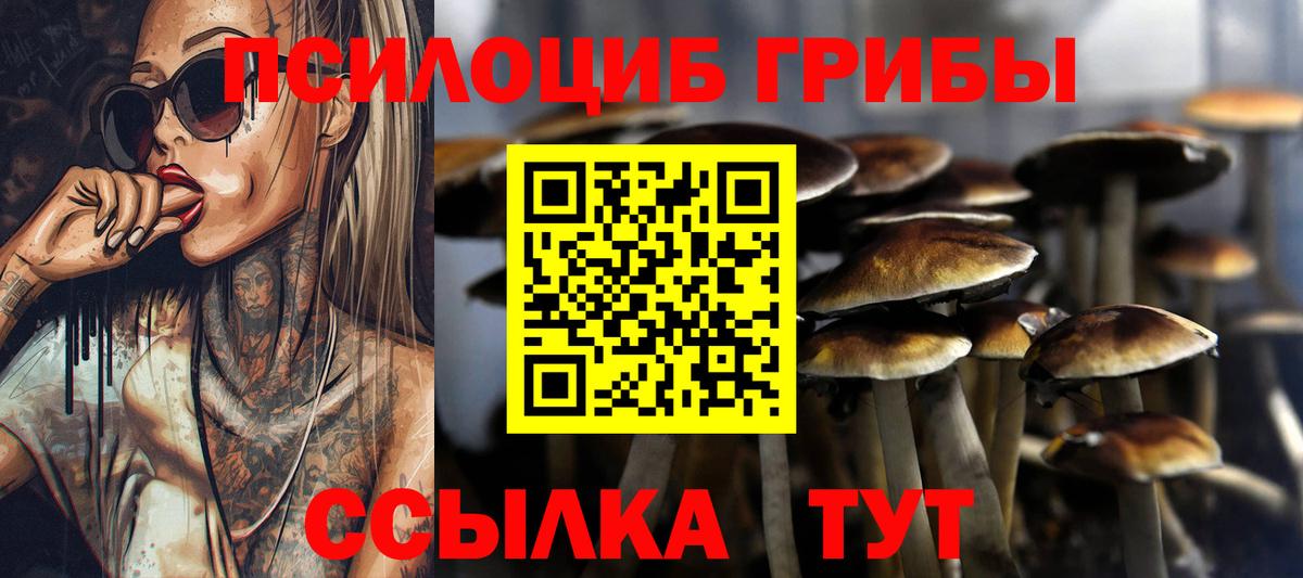 Псилоцибиновые грибы Cubensis Нефтекумск